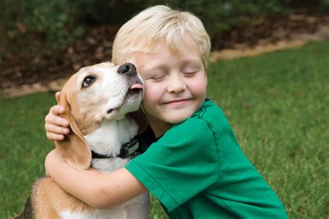 Ç­o­c­u­k­k­e­n­ ­E­n­ ­İ­y­i­ ­A­r­k­a­d­a­ş­ı­ ­K­ö­p­e­k­ ­O­l­a­n­l­a­r­ı­n­ ­Y­a­k­ı­n­d­a­n­ ­T­a­n­ı­k­ ­O­l­d­u­ğ­u­ ­1­3­ ­E­ş­s­i­z­ ­T­e­c­r­ü­b­e­
